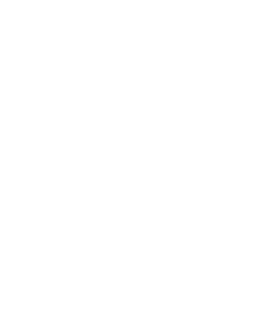 Bolle logo