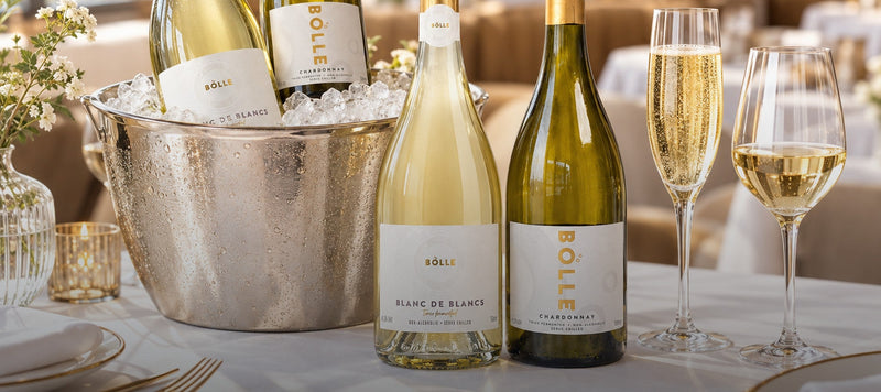 BOLLE Lands National Listing with UK Retailer M&S Food